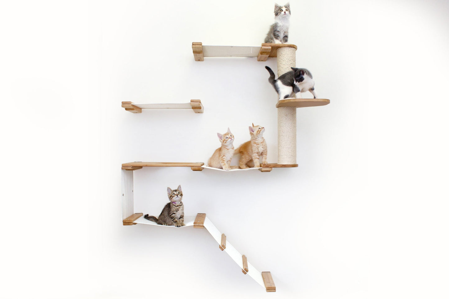 The Deluxe Cat Fort - Modern Cat Condo