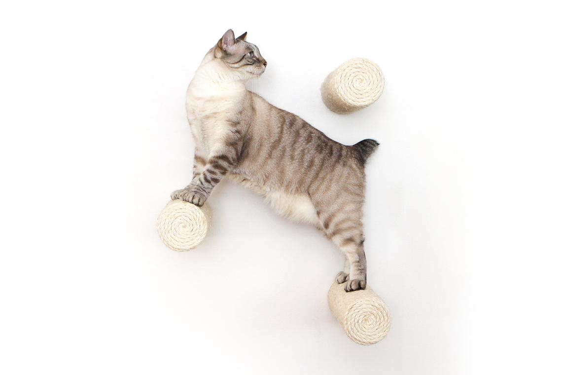 Floating Cat Step for Wall