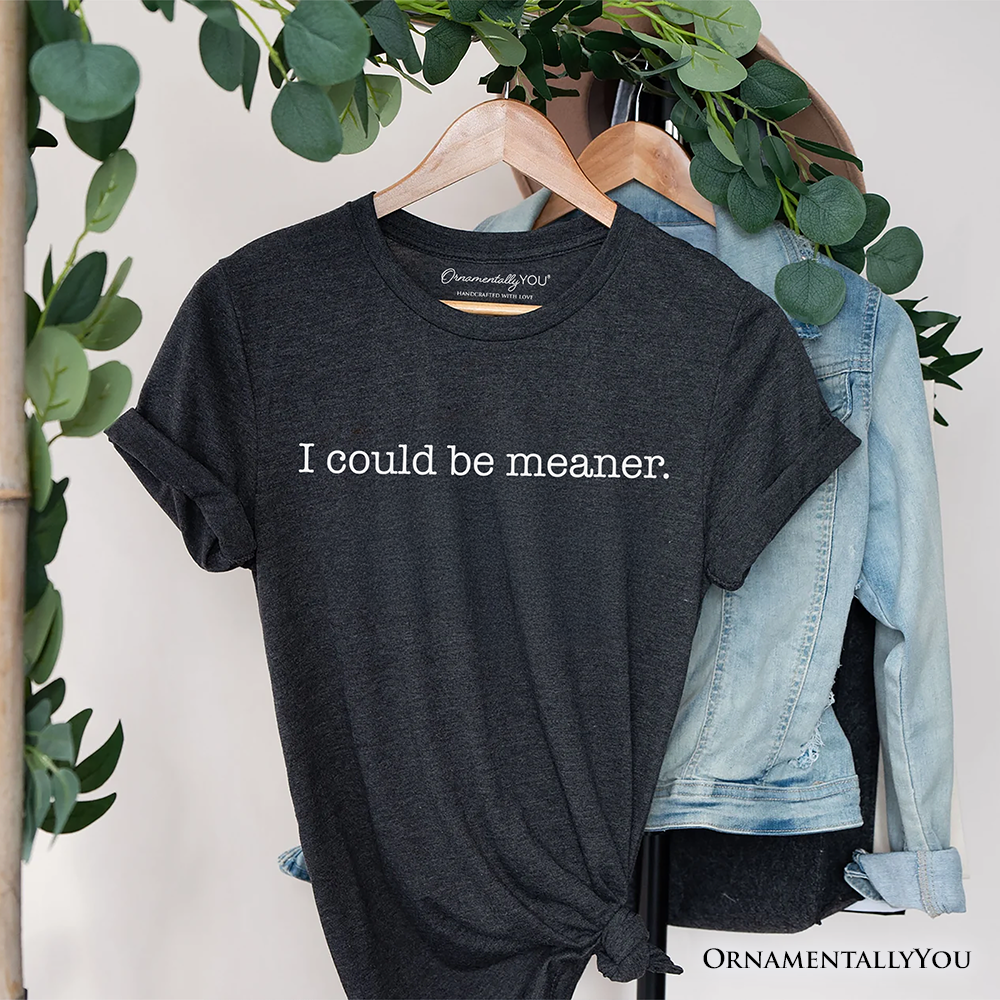 I Could Be Meaner T-Shirt, Sarcastic Quote Minimalist Tee