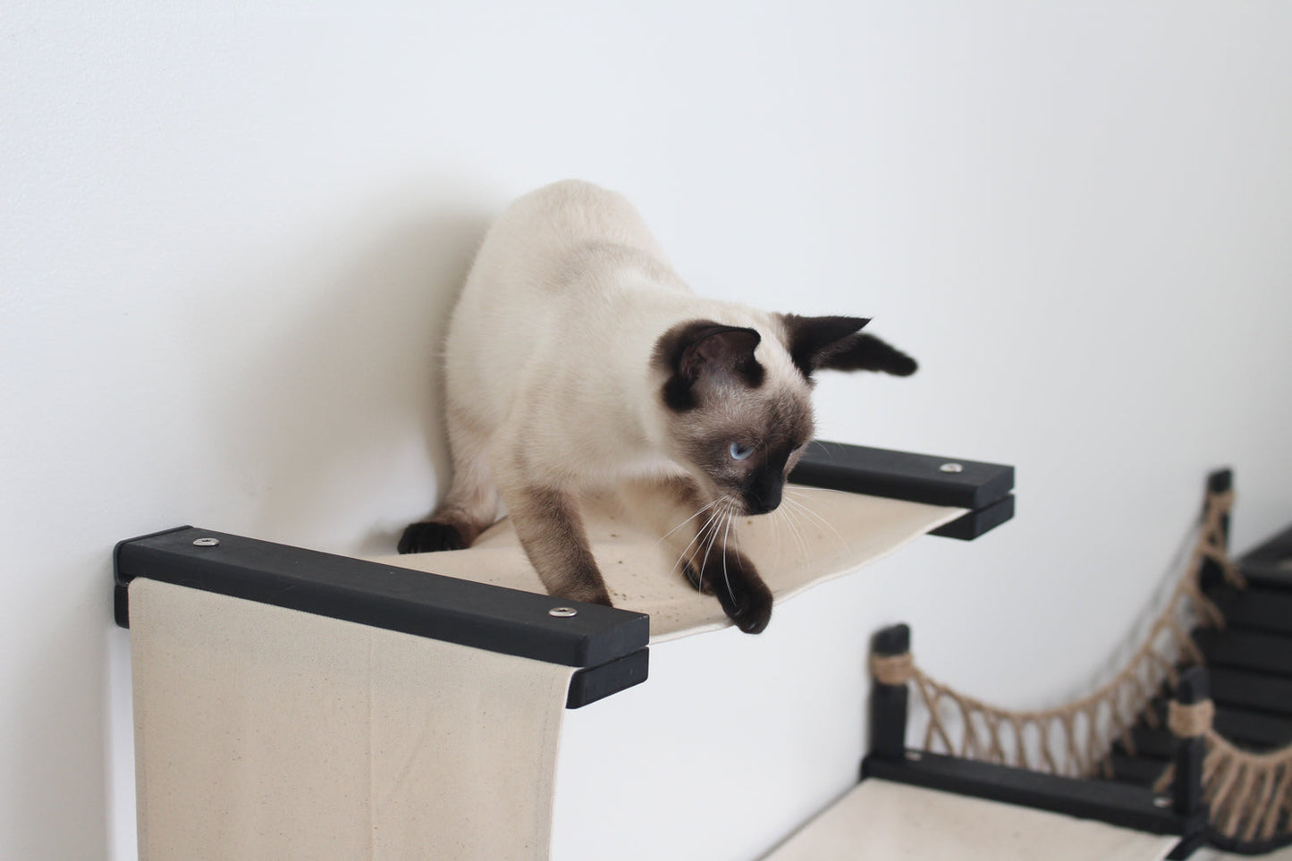 The Canyon - Our Best Cat Tree for Multiple Cats