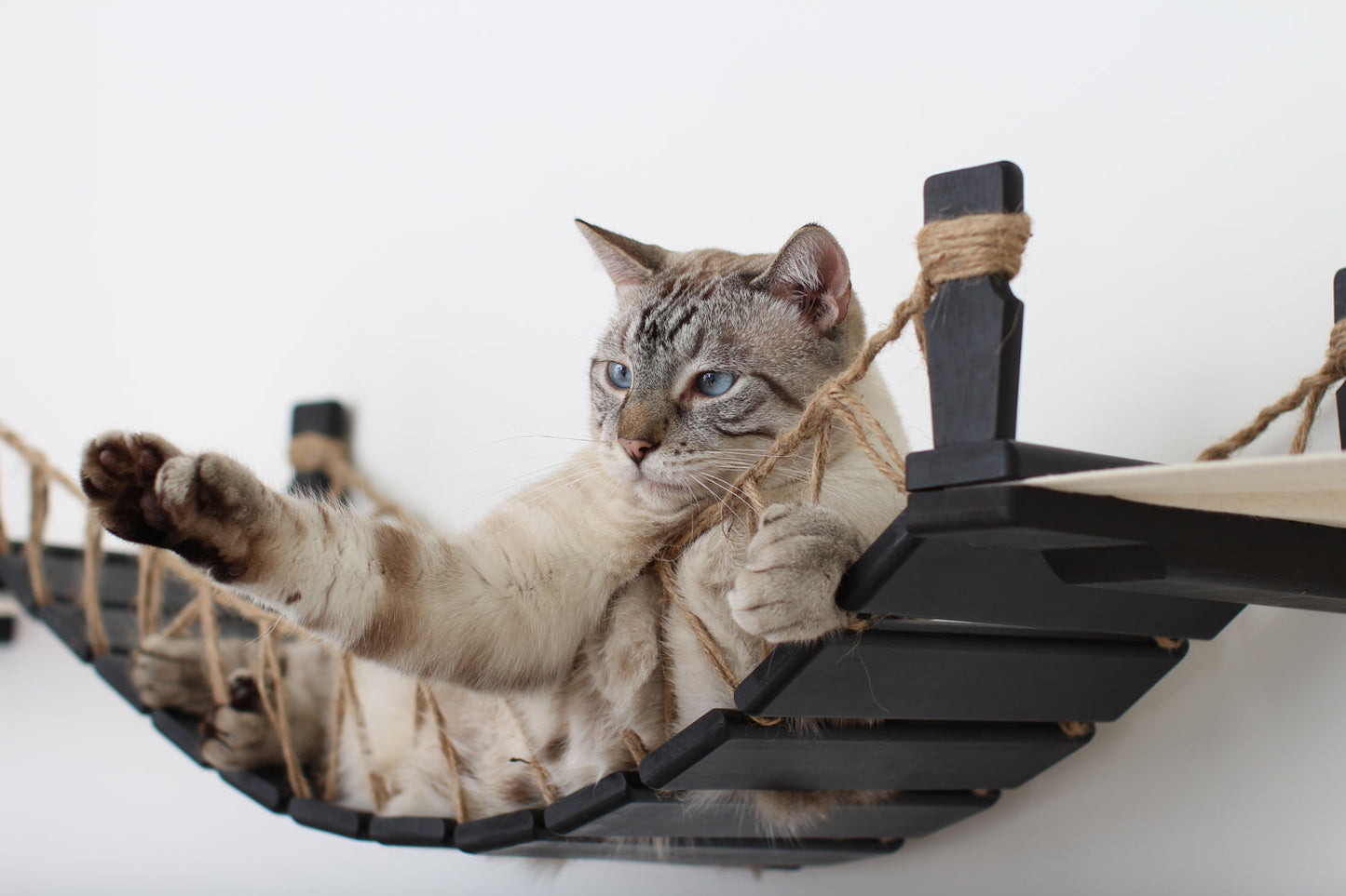 Double Cat Hammock and Climbing Bridge Combo