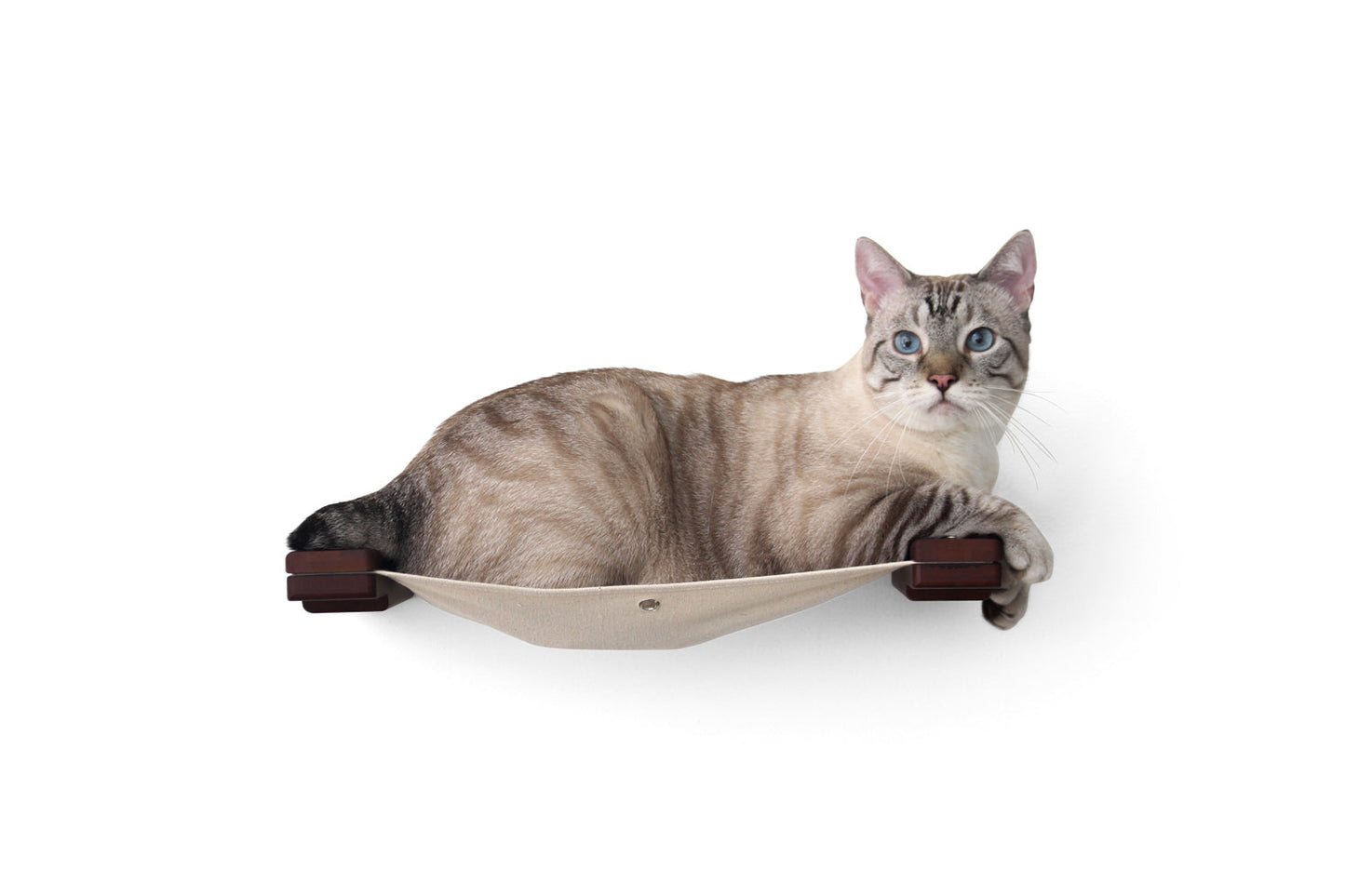 Hanging Cat Bed Hammock