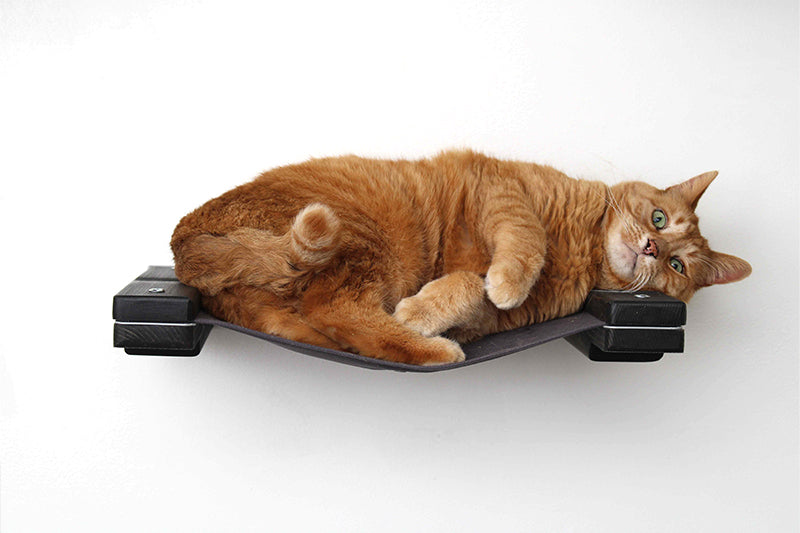 Hanging Cat Bed Hammock