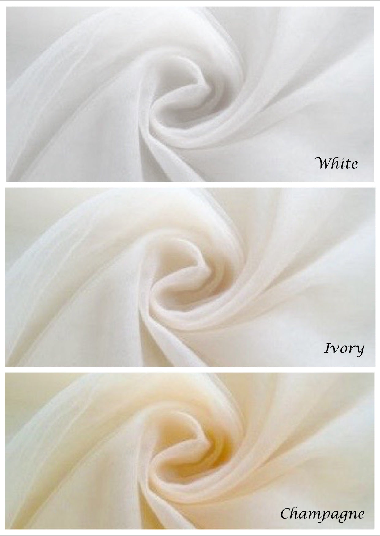 "Darya" - Lace Edge Cathedral Bridal Veil - Available in Champagne, White and Ivory