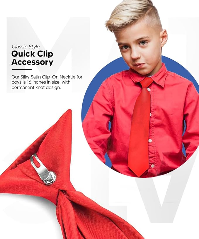 Vittorio Farina Boy's Satin Clip Necktie