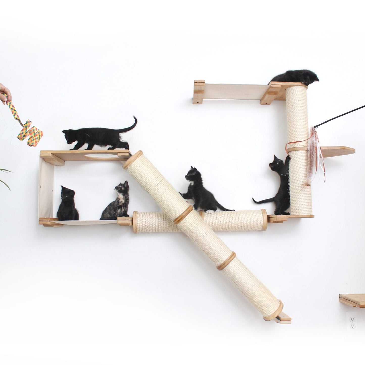 The Crossroads - Cat Wall Scratcher - Tree with Ramp