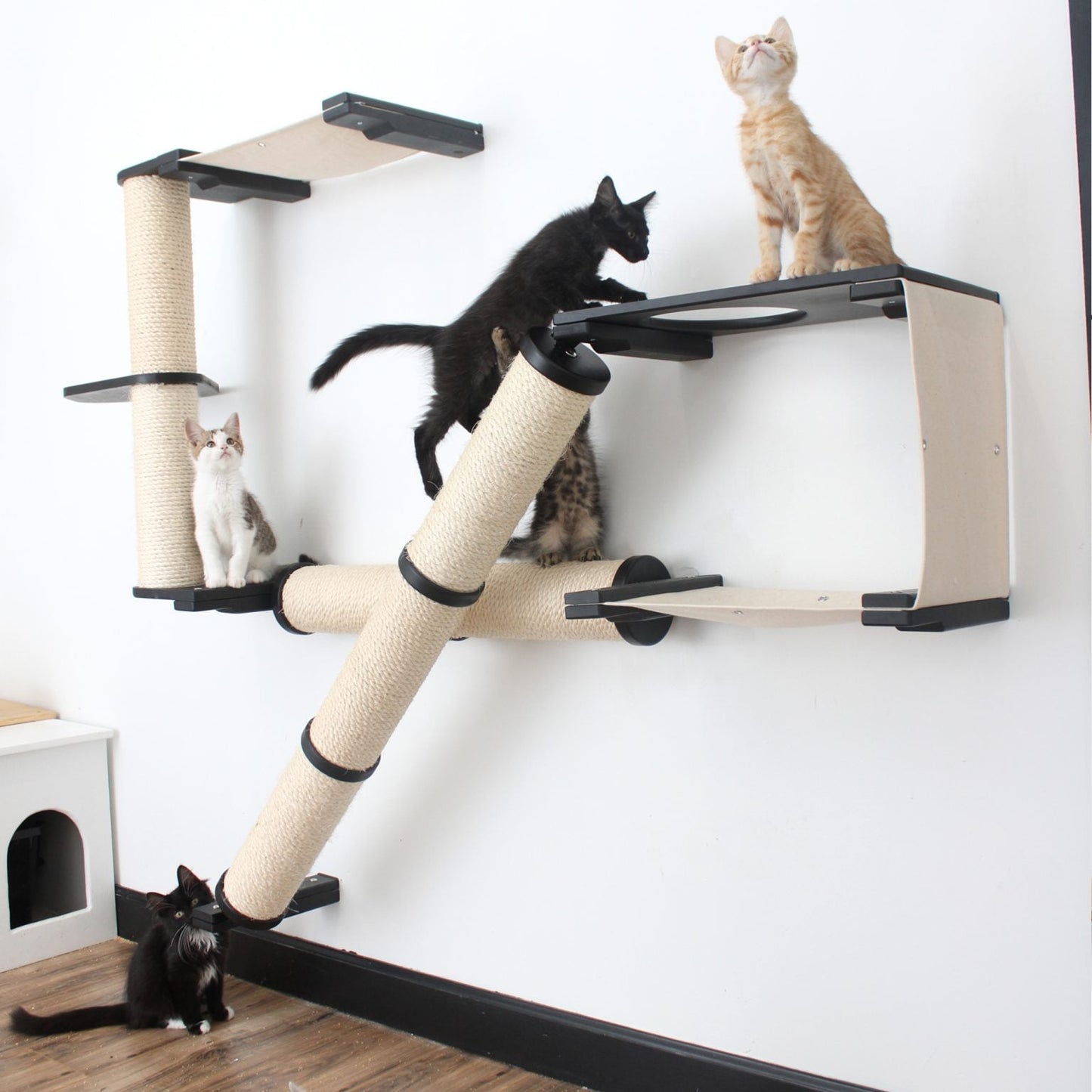 The Crossroads - Cat Wall Scratcher - Tree with Ramp