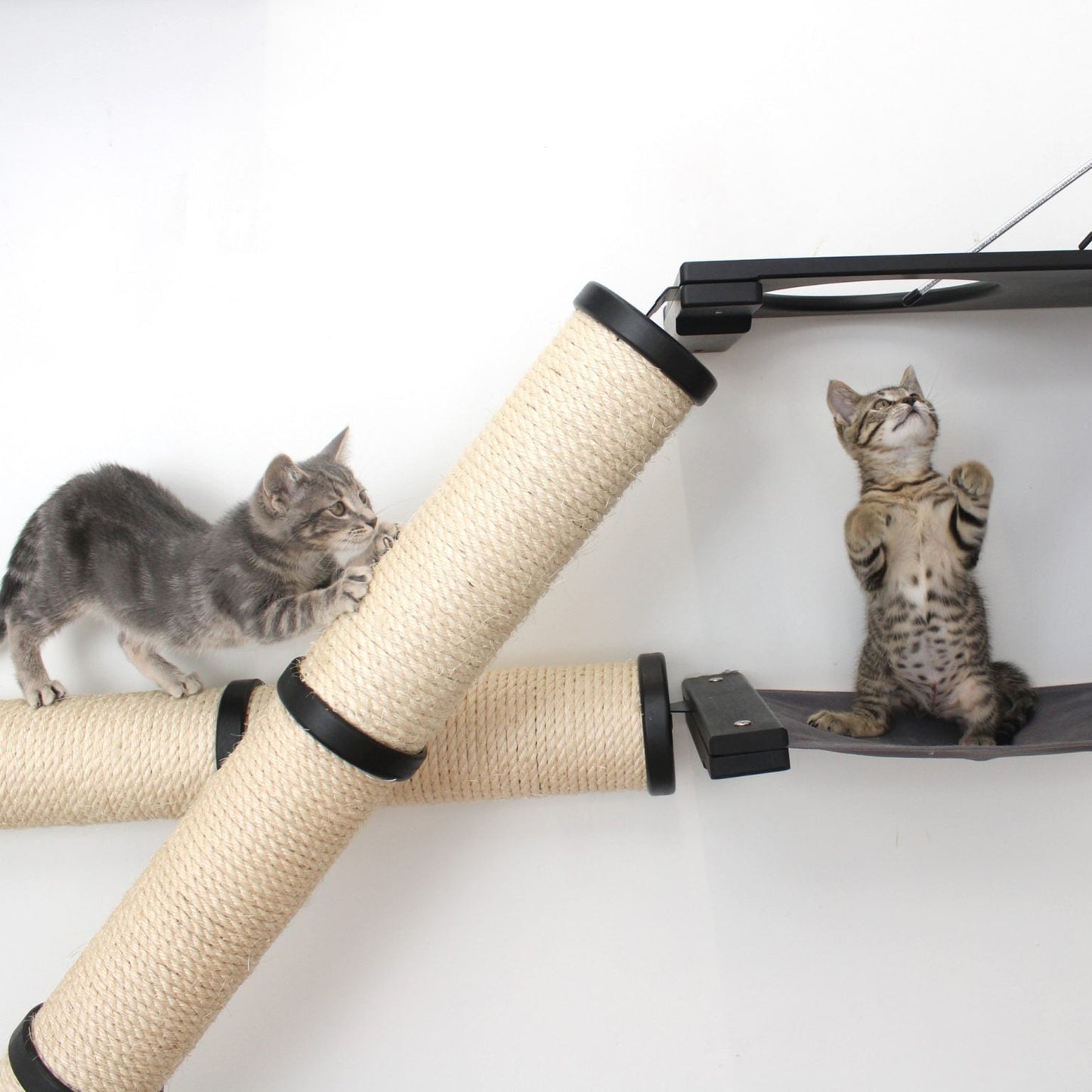 The Crossroads - Cat Wall Scratcher - Tree with Ramp
