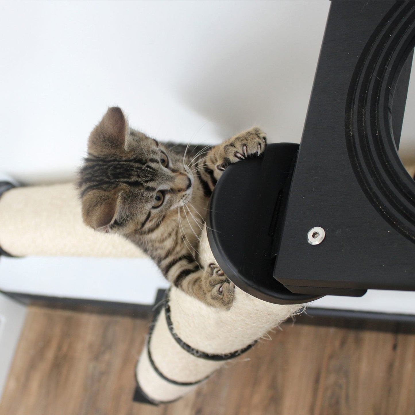 The Crossroads - Cat Wall Scratcher - Tree with Ramp