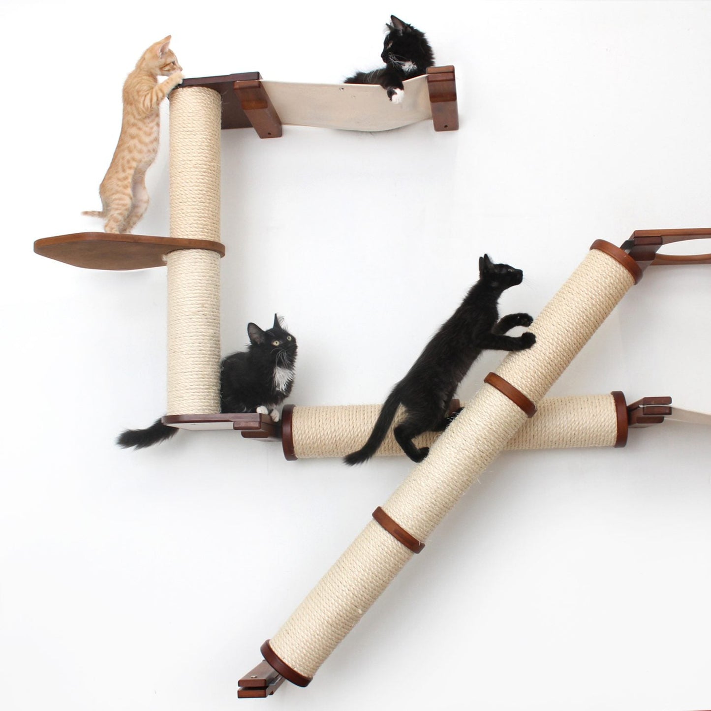 The Crossroads - Cat Wall Scratcher - Tree with Ramp
