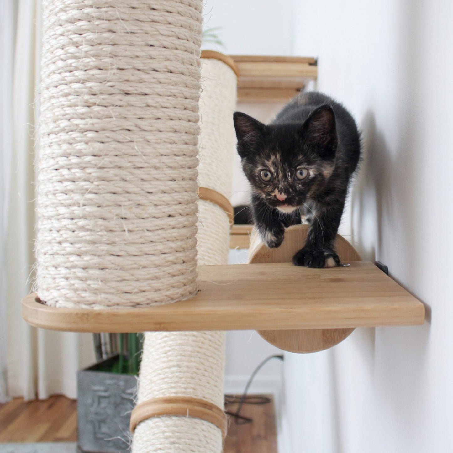 The Crossroads - Cat Wall Scratcher - Tree with Ramp