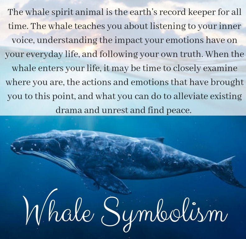 Whale Line Necklace