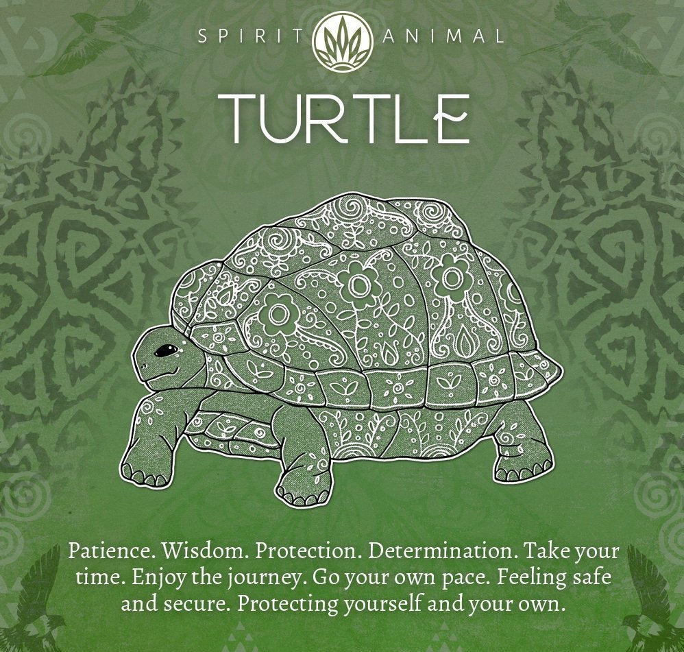 Friendly Turtle Earrings