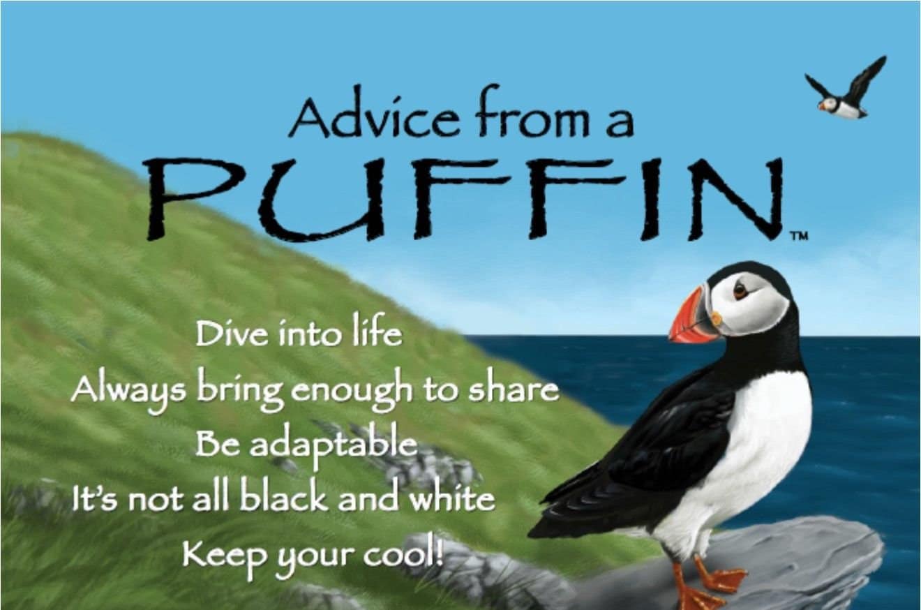 Orkney Puffin Earrings