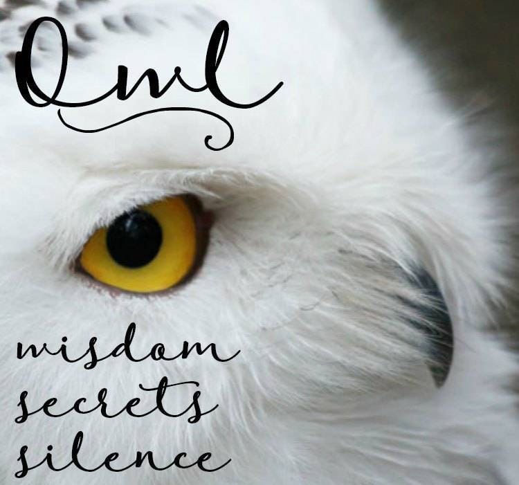 Summer Night Owl Earrings