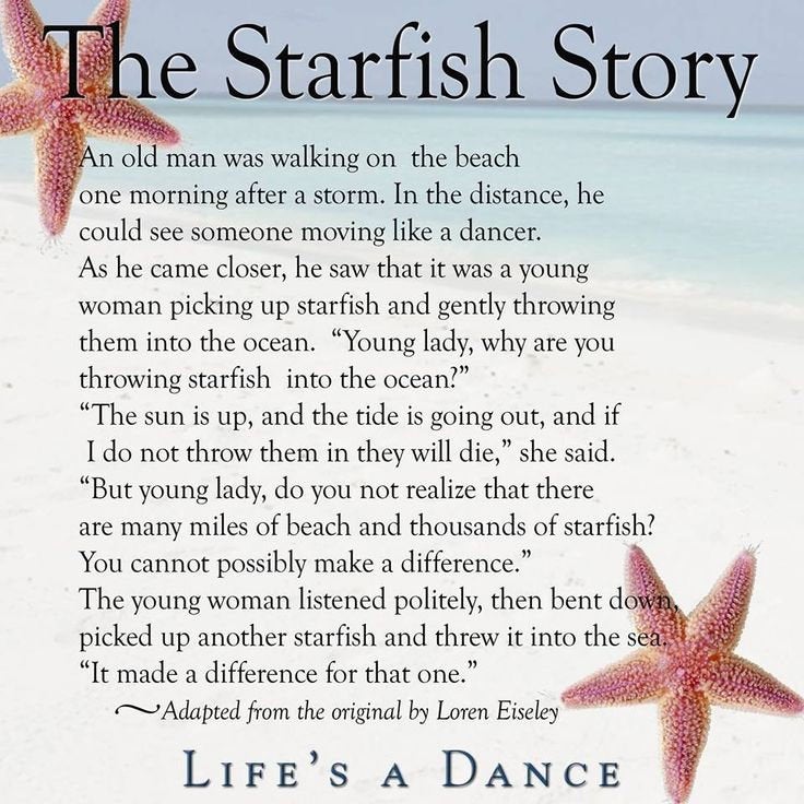Sunny Starfish Earrings