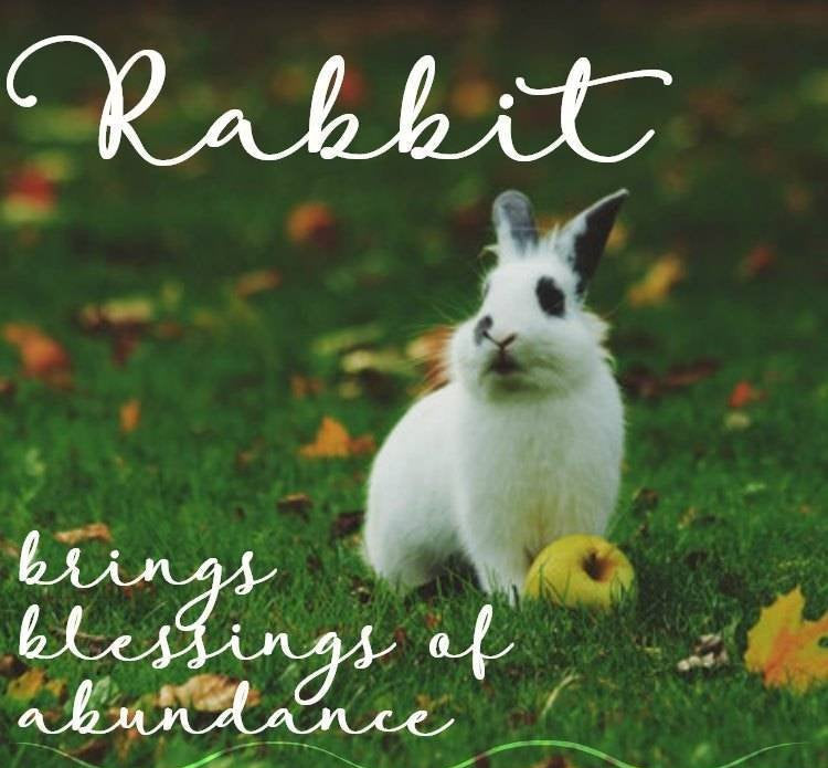 Woodland Rabbit Earrings