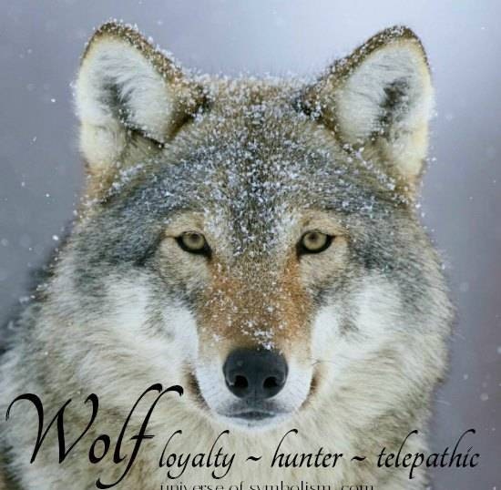 Gundolf Wolf Necklace