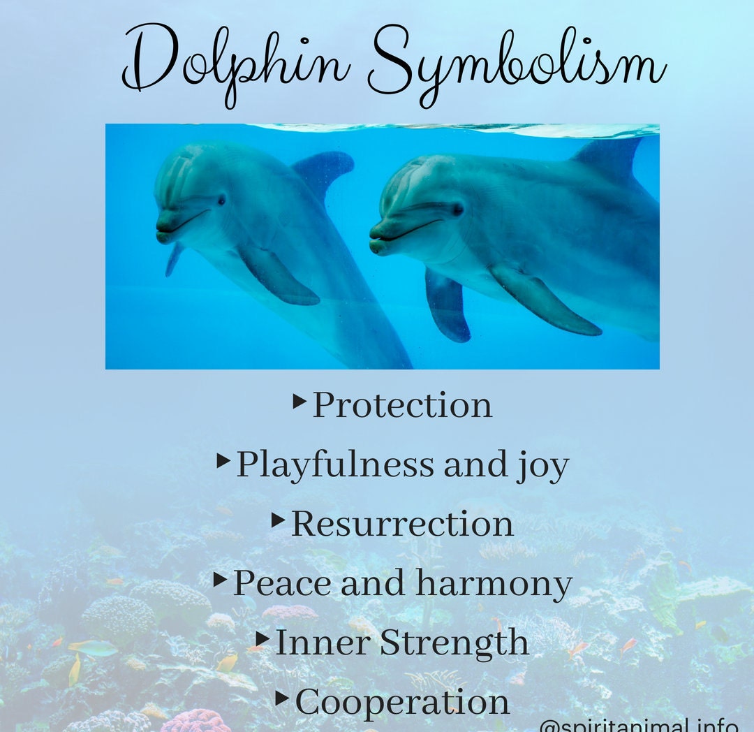 Nehalennia Dolphin Brooch