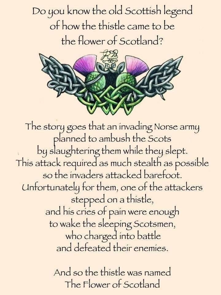 Locklyn Tartan Thistle Necklace
