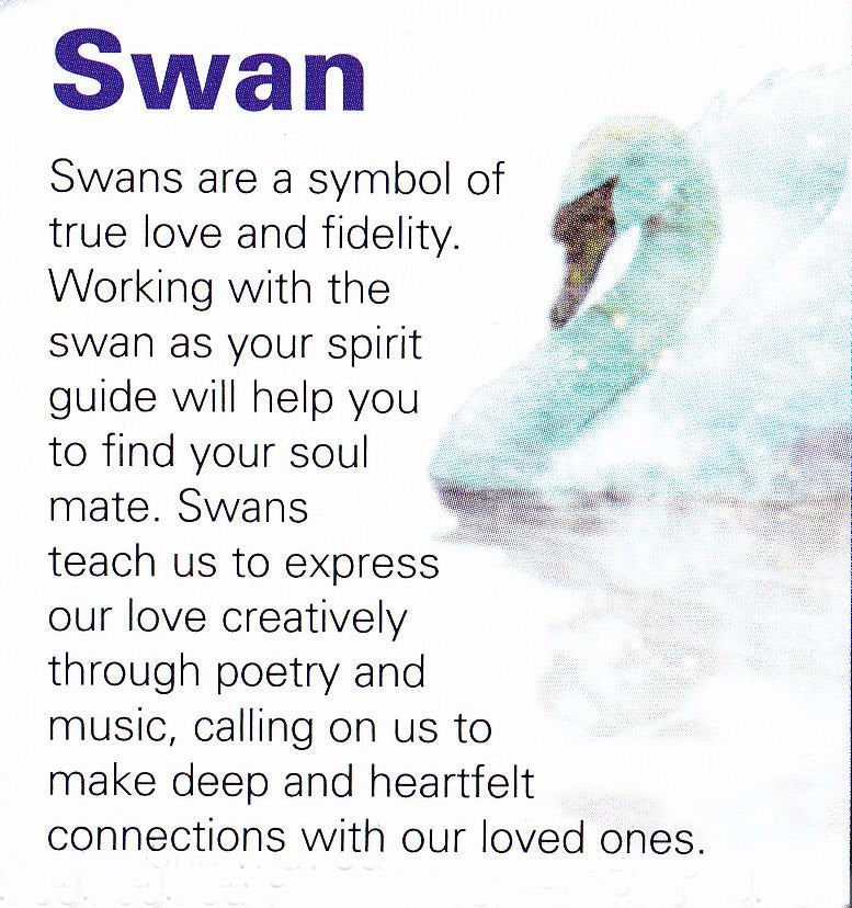 Loving Swan Claddagh Necklace
