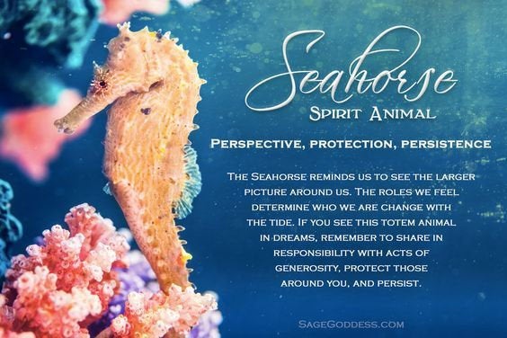 Sweet Seahorse Bracelet