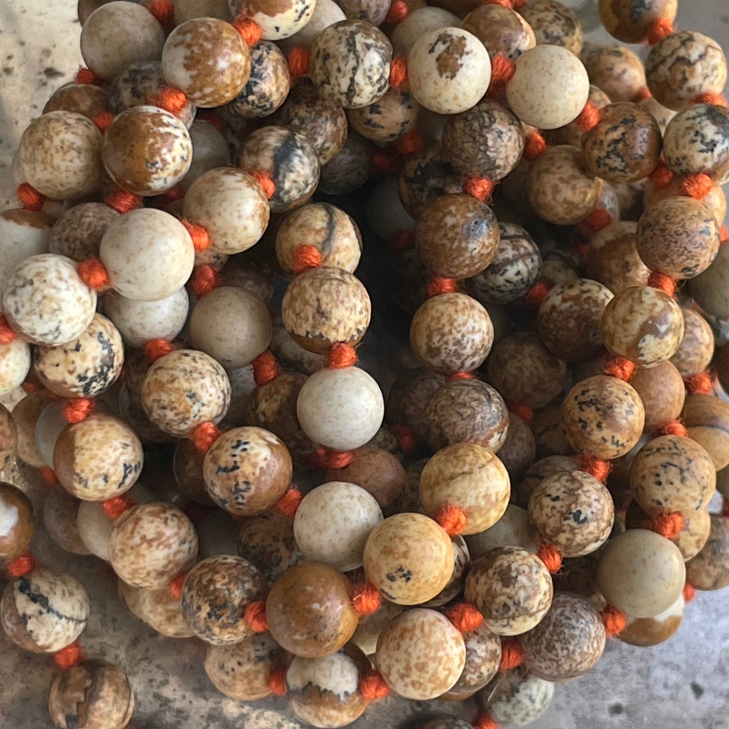 Picture Jasper Long