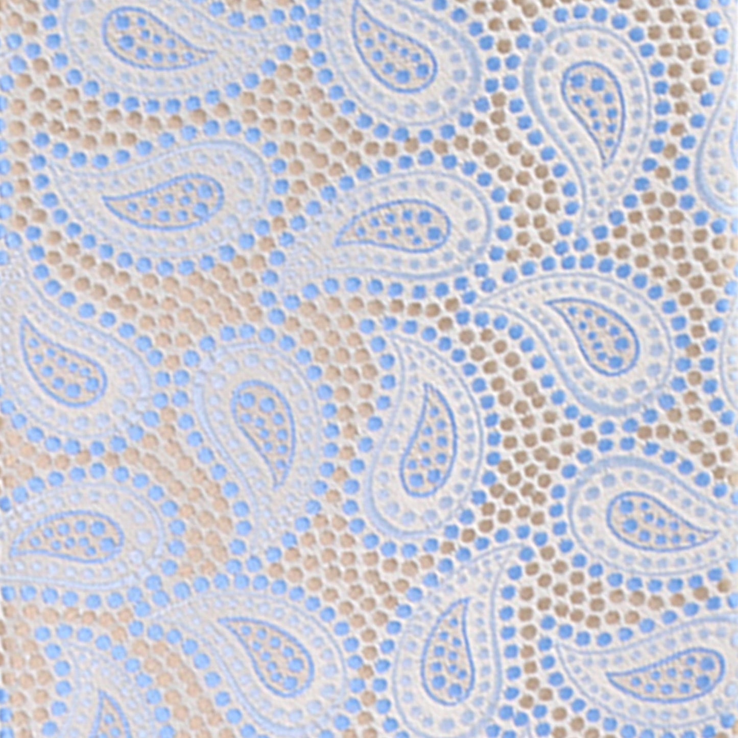 Vittorio Farina Men's Paisley Design Necktie & Pocket Square
