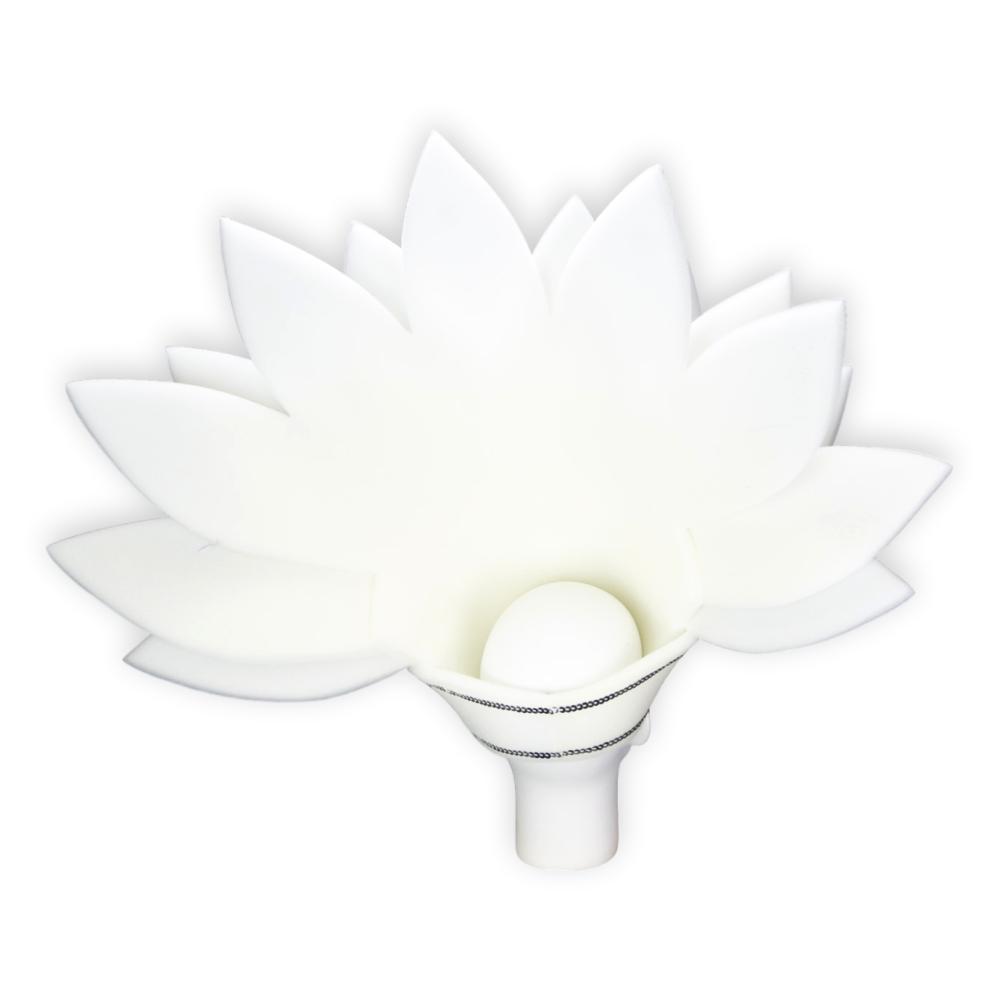 White Feathers Crown