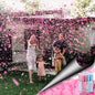 8 Pack Gender Reveal Confetti Cannons (Pink Girl) - Genders Reveal Party Popper Twist-to-Shoot Cannon Shooter Blaster Confetti 12" Girl She Her