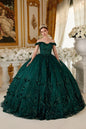 Off The Shoulder Quinceanera Floral Ball Gown