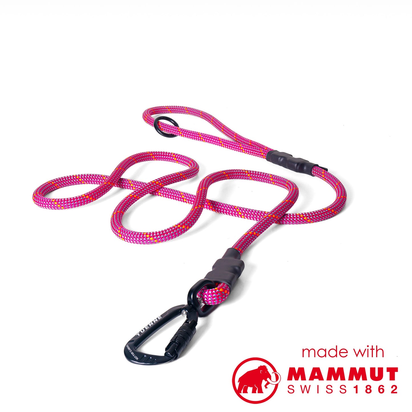 Customizable Norte Dog Leash