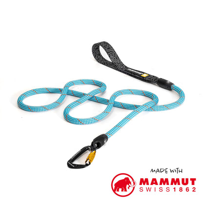 Customizable Dog Leash