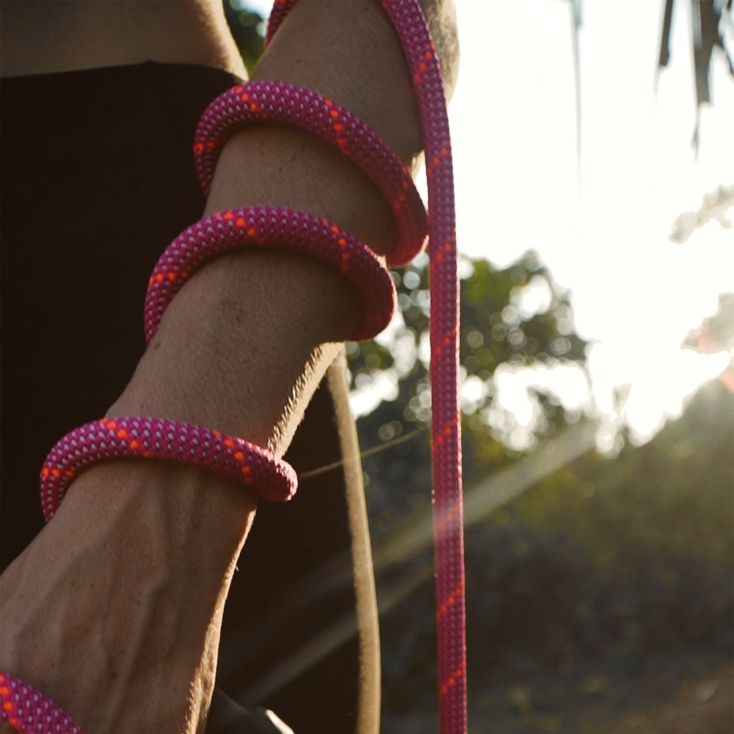 Customizable Norte Dog Leash