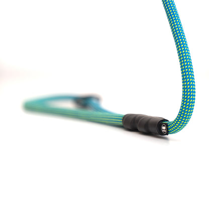 Customizable Norte Dog Leash