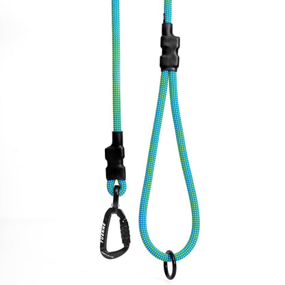 Customizable Norte Dog Leash