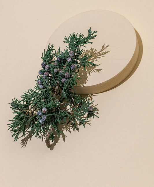 juniper sprigs