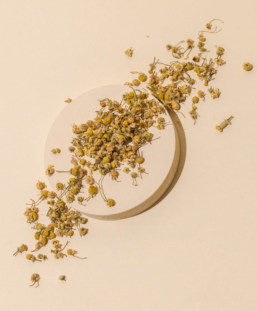 organic chamomile flowers