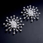 Paris - Crystal Bridal Shoe Clips