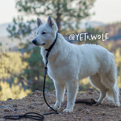 Customizable Norte Dog Leash