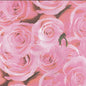 Roses Printed Paper Napkins | 20 Count