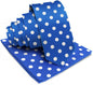 Vittorio Farina Men's Polka Dot Satin Necktie & Pocket Square