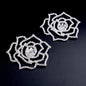 Paris - Crystal Bridal Shoe Clips