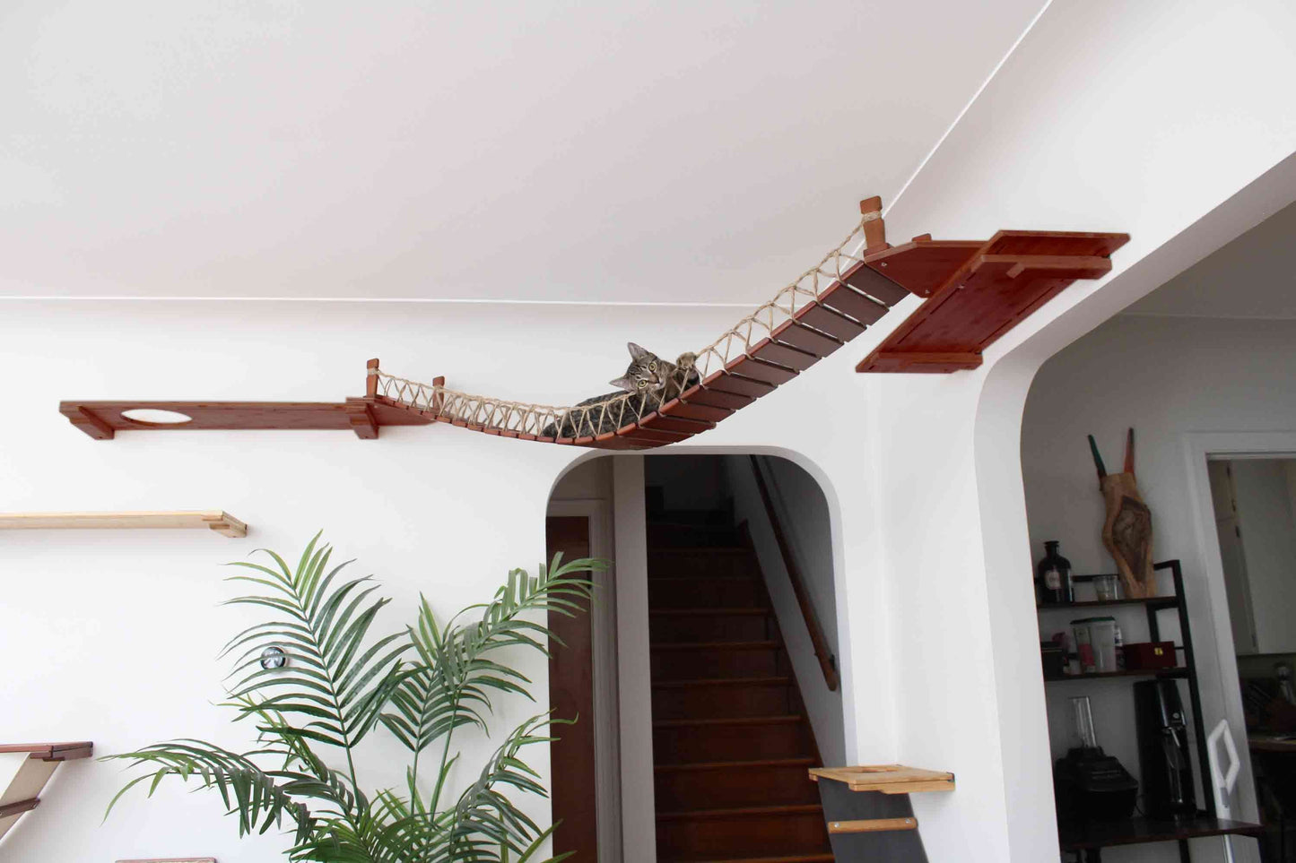 Corner Cat Shelf Bridge