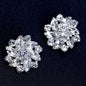Paris - Crystal Bridal Shoe Clips