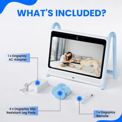 DOGSPLAY - SMART TV FOR DOGS