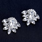 Paris - Crystal Bridal Shoe Clips