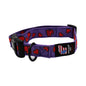 Collars.  Ballistic Solids & Print Designs