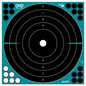 Bullseye Shooting Target