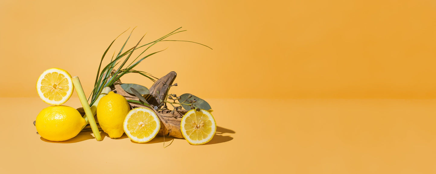 natural citronella & camphor - the stash